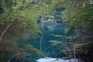 幽美森林中的澄澈蓝湖