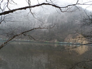 雾中湖畔萧瑟冬景