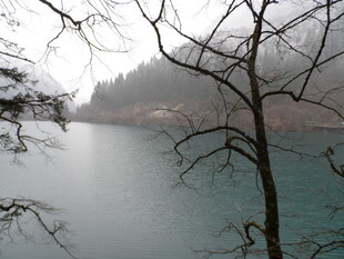 雾霭中的静谧湖水与枯树