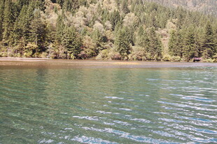 宁静湖畔的葱郁山林