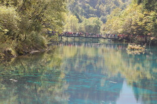 青山绿水间的澄澈溪流