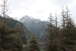 山林间的秀丽雪山景色