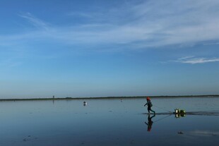 湖畔独钓者 静享悠然时光