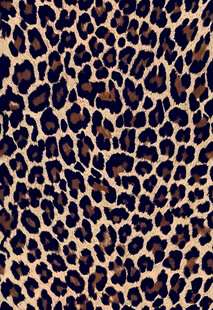 豹纹图案纹理特写