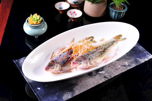 清蒸鲜鱼摆盘精致诱人