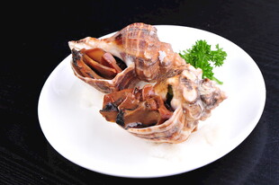 美味海螺摆盘