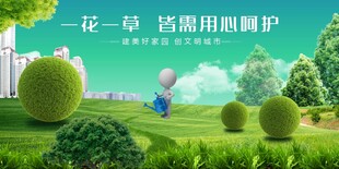春日草坪上的信用呵护场景