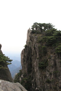 峻峭山峰上的苍松