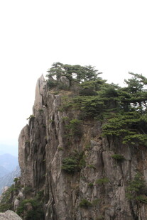 巍峨山峰上的翠绿松树