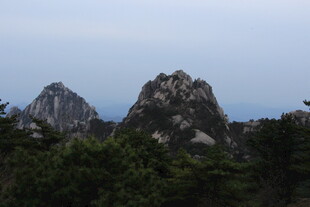 巍峨山峰与葱郁植被景观