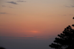 日落时分的天空与树木