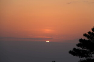 日落时分的树梢与天际