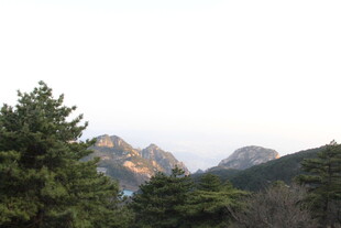 山林间的秀丽山峰景色