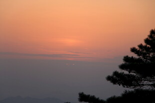 日落时分的树影与霞光