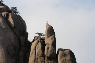 黄山奇峰景观