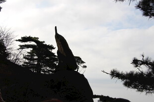 山峰上的尖石与周边树木