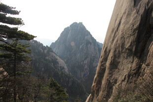 巍峨黄山奇峰与苍松