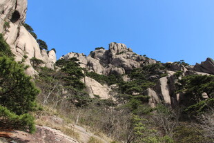 峻峭山峦与葱郁植被景观