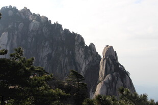 巍峨山峰与葱郁树木