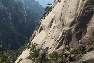 险峻山壁上的零星绿植