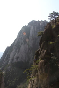 巍峨山峰与峭壁上的树木