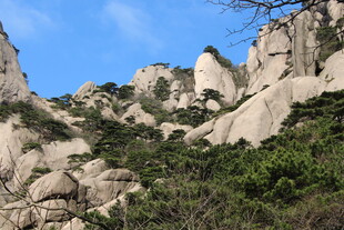 嶙峋山石与葱郁植被景观
