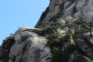 峻峭山石上的翠绿植被