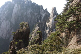 黄山奇峰异松壮美景观