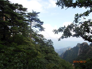 山林葱郁间的自然景致