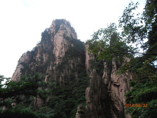 巍峨山峰与葱郁林木