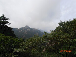 山林间的朦胧远山景色