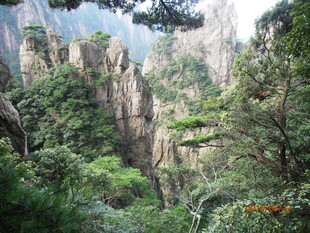 黄山奇峰绿意盎然景观