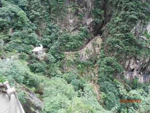 山间繁茂植被覆盖的峭壁