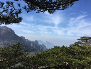 黄山美景 松与山峦云雾间