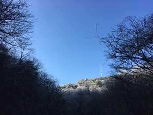 山间蓝天与光秃树木景观