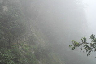 雾中峻岭 绿意隐现