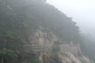 山间雾中栈道 景色清幽