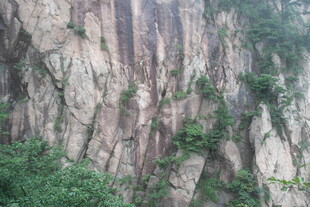 陡峭山壁与繁茂绿植