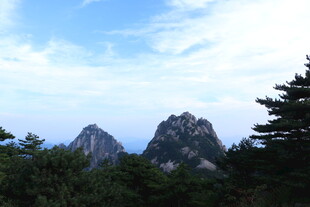 巍峨山峰与葱郁林木景观
