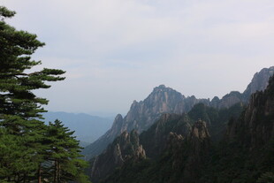 巍峨山峦间的葱郁景致