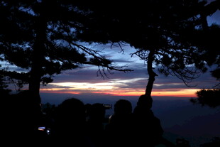 黄昏时分林间的美丽天际