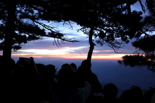 湖畔暮色中树影与湖景