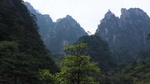 秀丽群山间的绿意景致