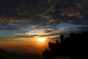 日落时分的天空与树木景观