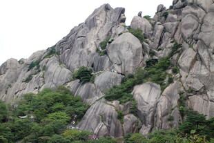 嶙峋山石与绿意相伴