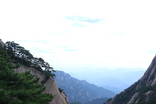 壮丽山景 峻峭山峰与绿植