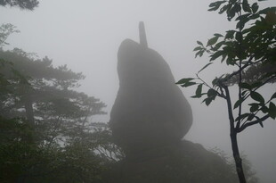 雾中奇特山石景观