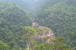 山间绿意盎然的河谷风光