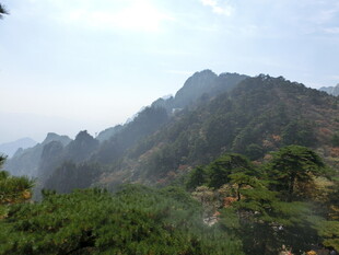 秀丽山峦与葱郁植被景观