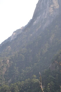 巍峨山峦覆绿植